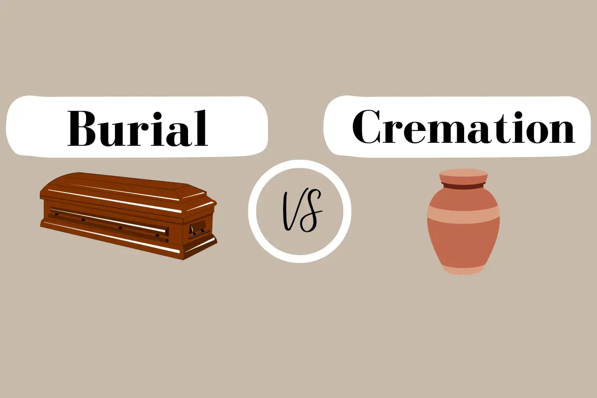 Cremation vs. Burial A Comprehensive Guide to Help You Decide